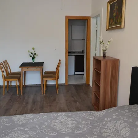 сentral аpartment Teplice